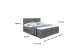 Boxbett BARWA