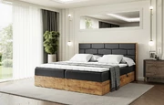 Boxbett LOLLI8