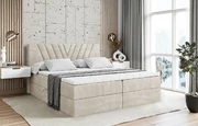 Boxbett ERNINA - 1