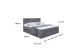 Boxbett CATOR