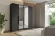 Material: Holzwerkstoff, Material der Rückwand: MDF, Farbe: Schwarz, Größe: 200 cm x 51 cm x 200 cm, Griffe: Gold Griffe, Zimmer: Schlafzimmer, Anzahl der Türen: 4, Anzahl der Spiegel: 2, Anzahl der Kleiderstangen: 2, Front-Typ: Glatt, Art der Griffe: Griffleiste, Art der Türen: Flügeltüren, Breite: 200 cm, Tiefe: 51 cm, Höhe: 200 cm, Länge der Kleiderstange 1: 94 cm, Länge der Kleiderstange 2: 94 cm, Fachinnenmaß - Höhe: 36 cm, Fachinnenmaß - Breite: 49 cm, Fachinnenmaß - Tiefe: 49 cm - 1
