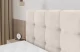 Boxbett IGAN-Z KING - 8