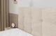 Boxbett IGAN-Z KING