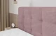 Boxbett IGAN-Z KING